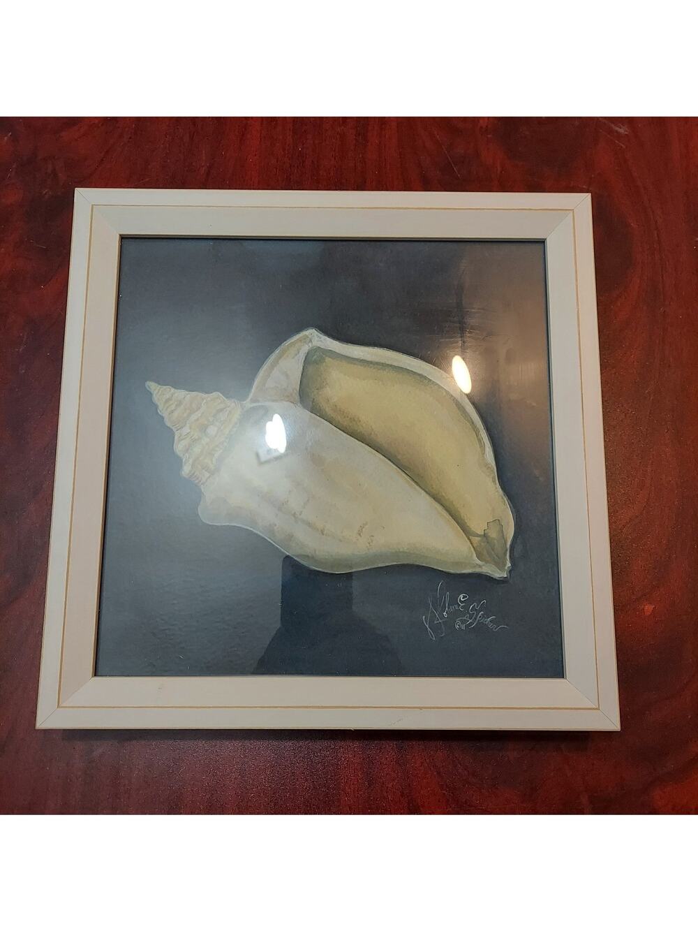 Spicher & Co Seashell No4 by Kolene Spicher Framed Print